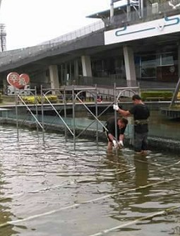 高人一等鷹架行政主任