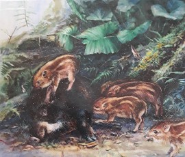 圖案豐富的牆壁彩繪